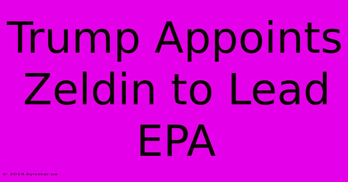 Trump Appoints Zeldin To Lead EPA