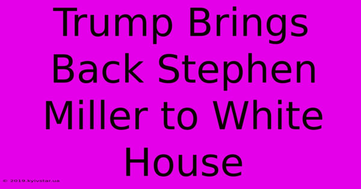 Trump Brings Back Stephen Miller To White House 