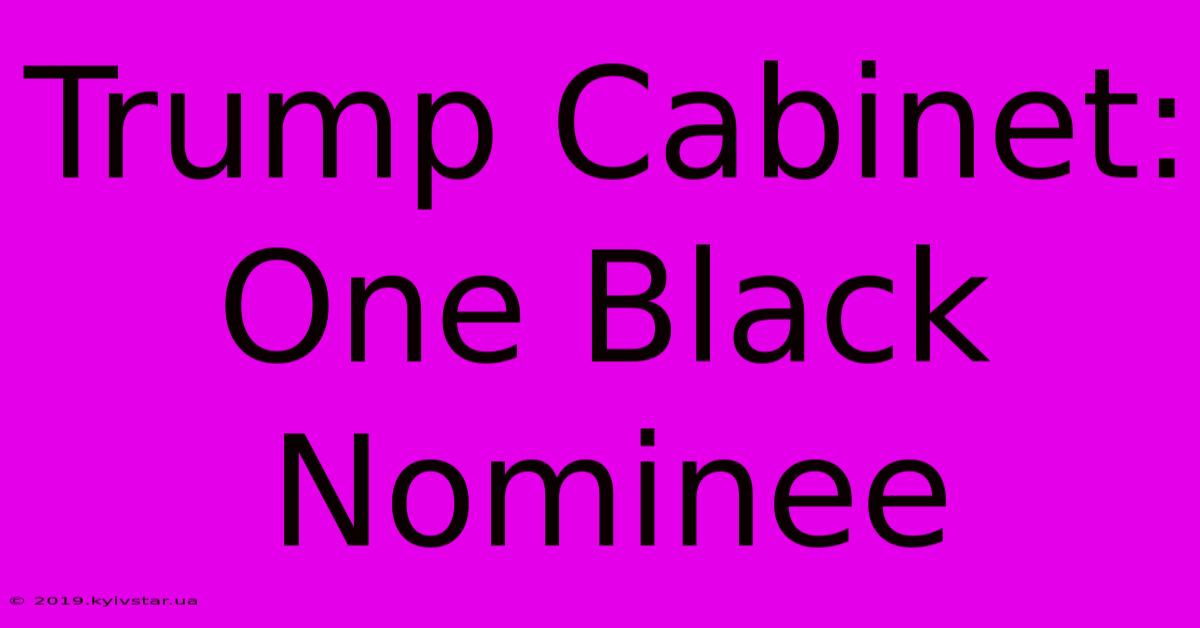 Trump Cabinet: One Black Nominee