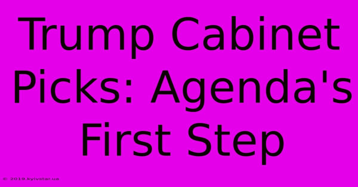 Trump Cabinet Picks: Agenda's First Step 