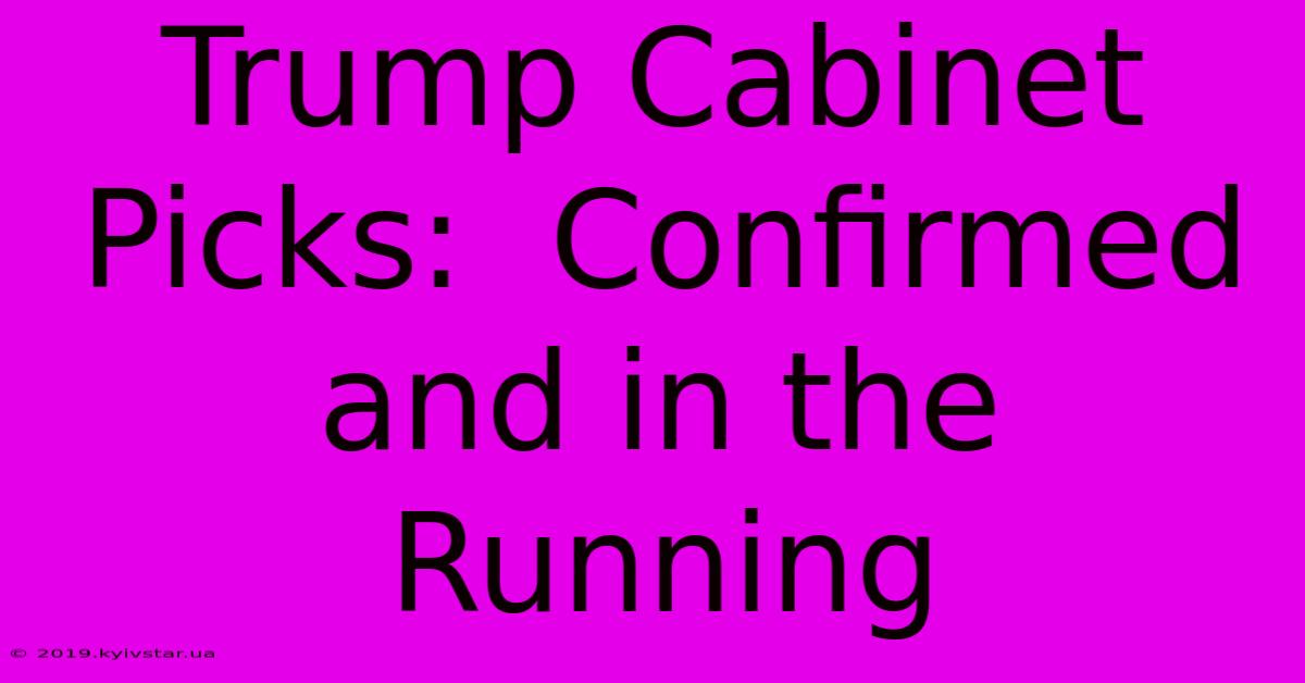 Trump Cabinet Picks:  Confirmed And In The Running