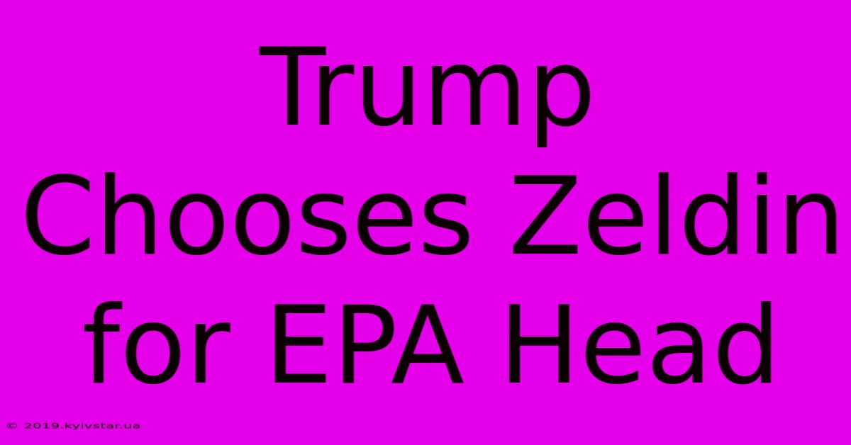 Trump Chooses Zeldin For EPA Head