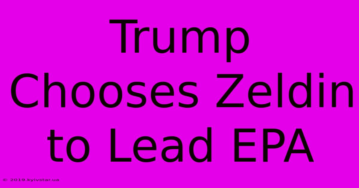 Trump Chooses Zeldin To Lead EPA