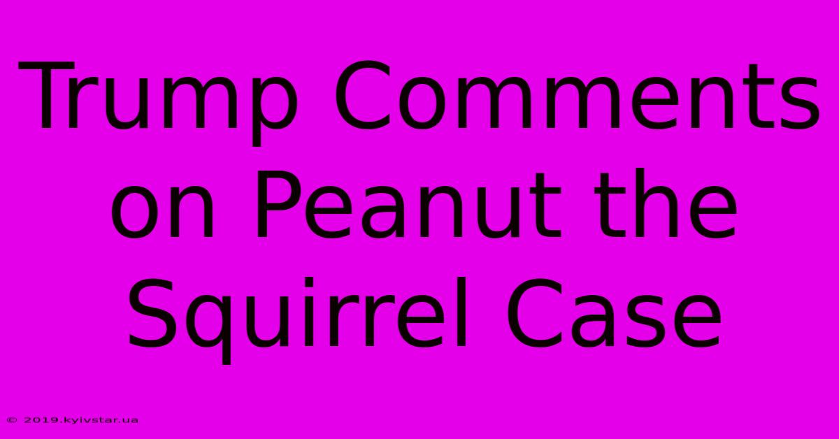 Trump Comments On Peanut The Squirrel Case 