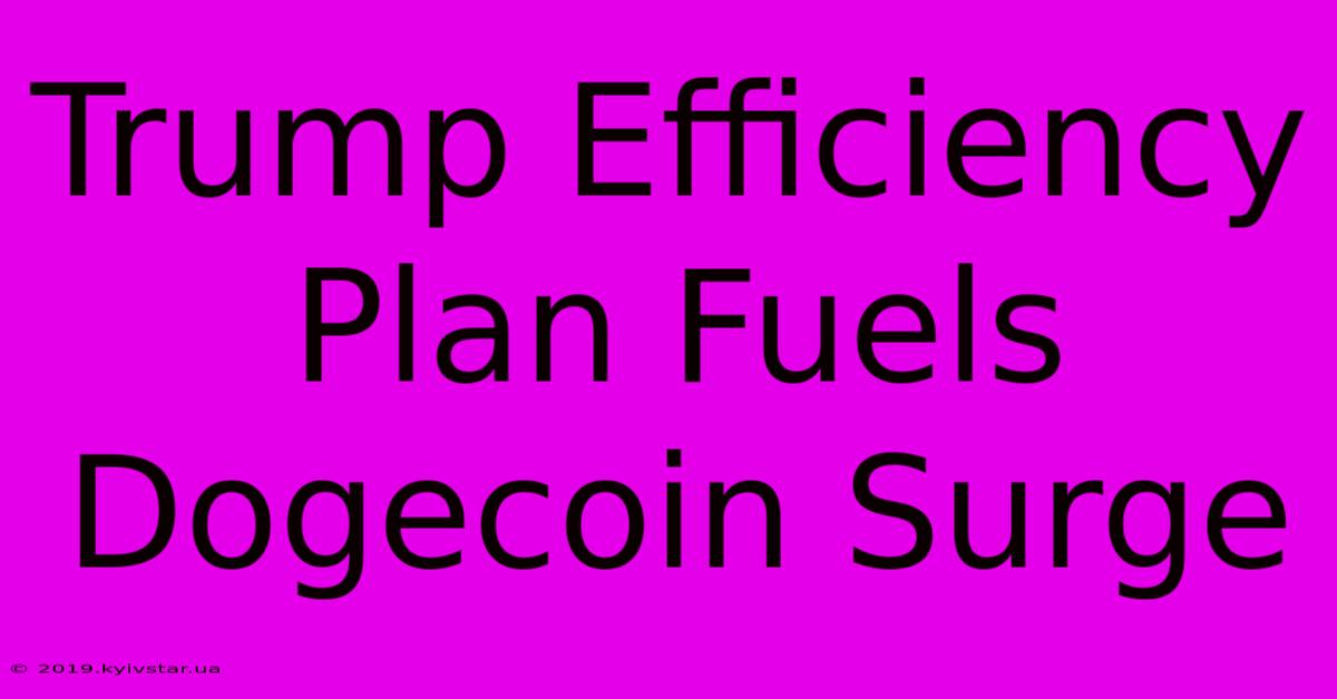 Trump Efficiency Plan Fuels Dogecoin Surge