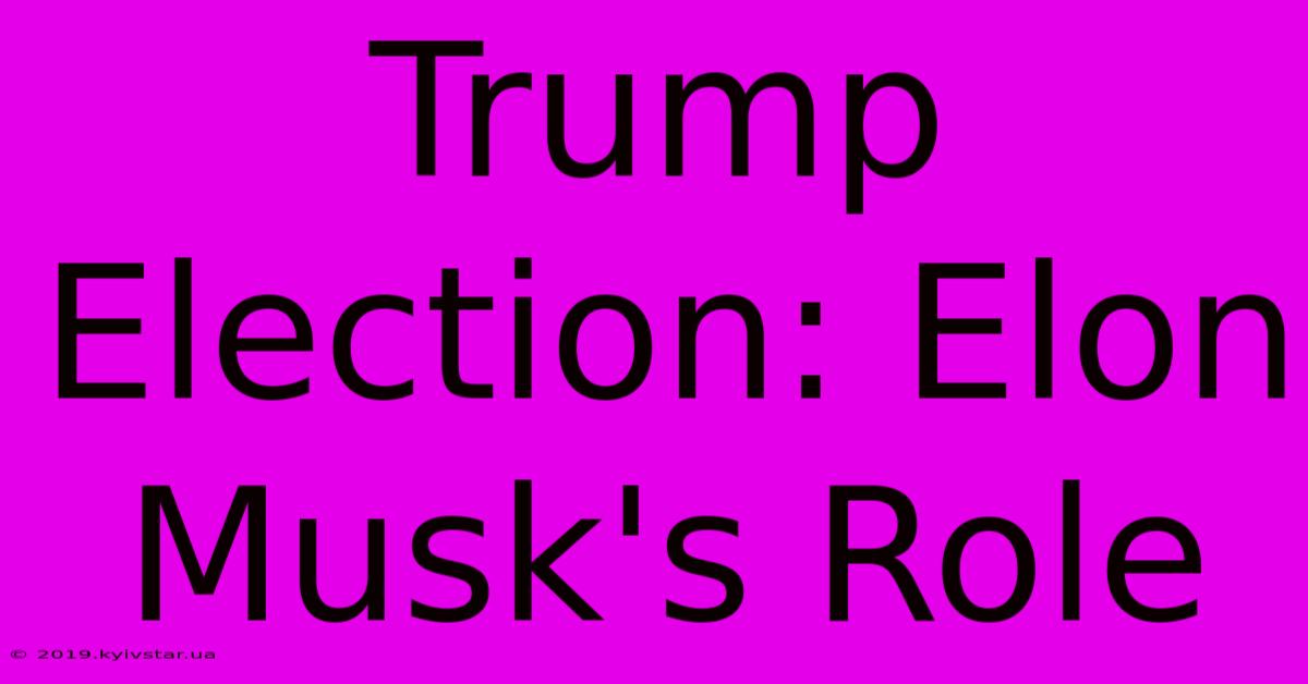 Trump Election: Elon Musk's Role