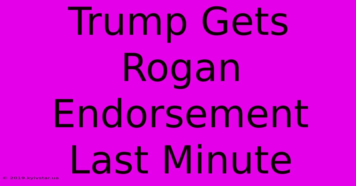 Trump Gets Rogan Endorsement Last Minute