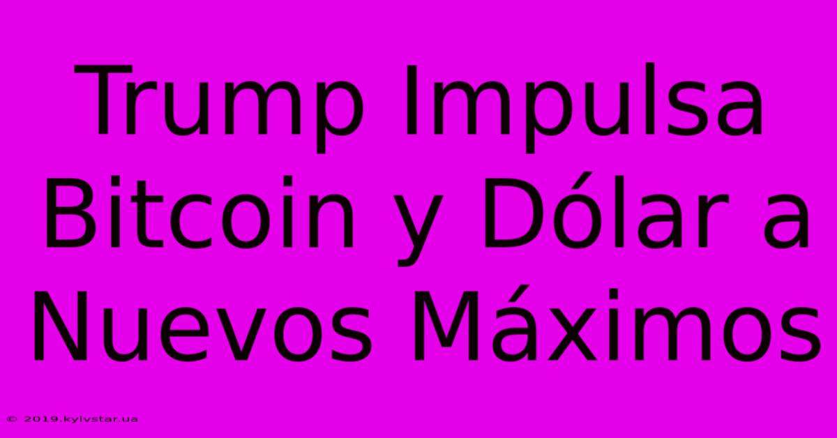 Trump Impulsa Bitcoin Y Dólar A Nuevos Máximos