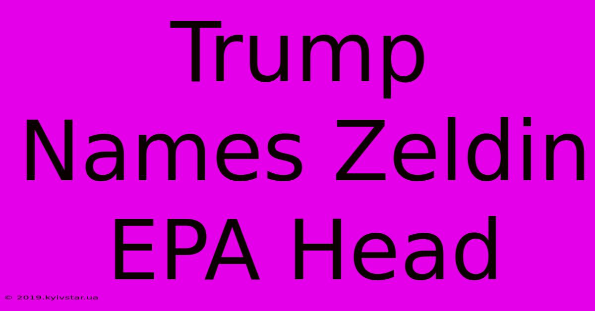 Trump Names Zeldin EPA Head