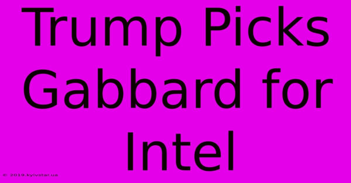 Trump Picks Gabbard For Intel 