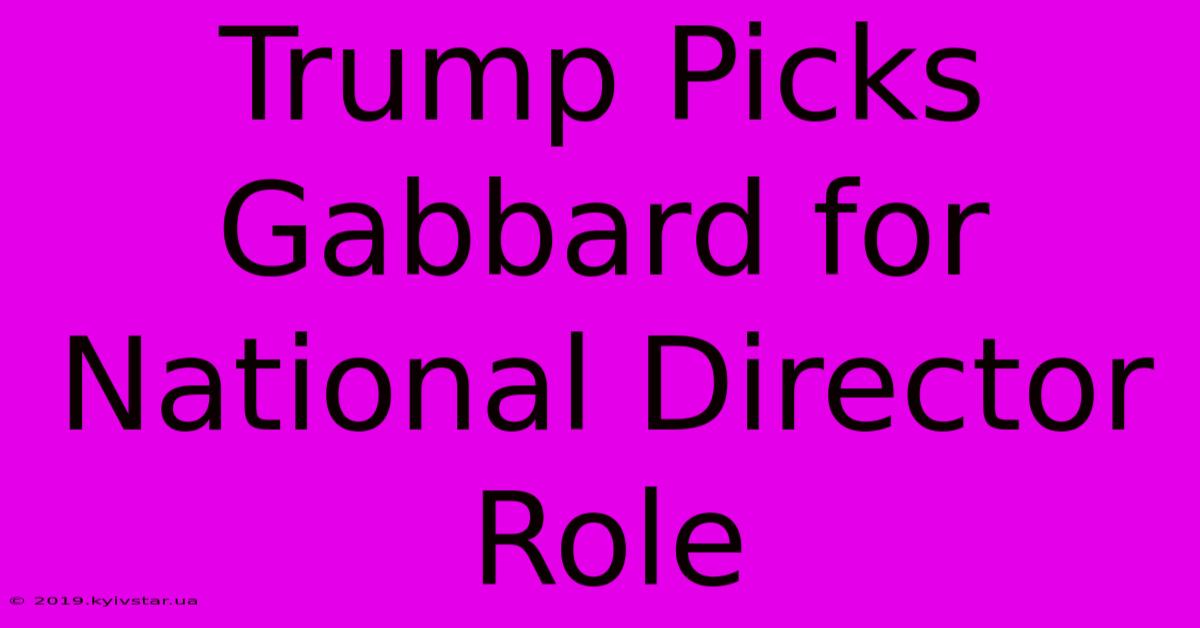 Trump Picks Gabbard For National Director Role