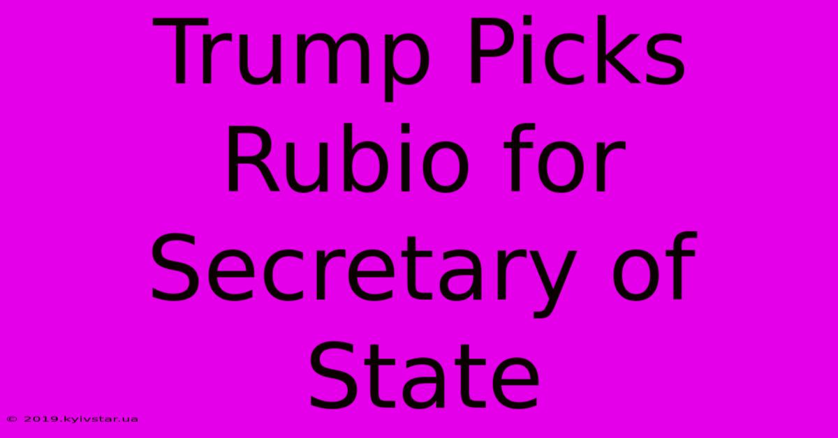 Trump Picks Rubio For Secretary Of State