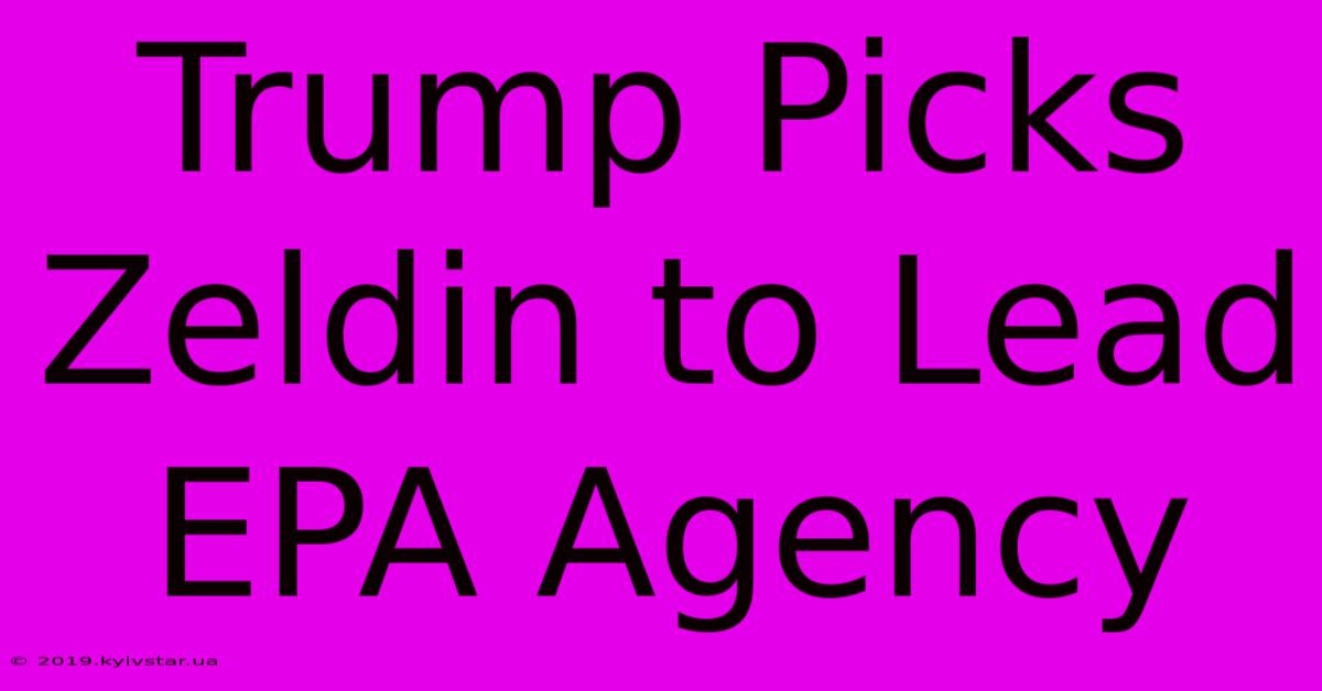 Trump Picks Zeldin To Lead EPA Agency