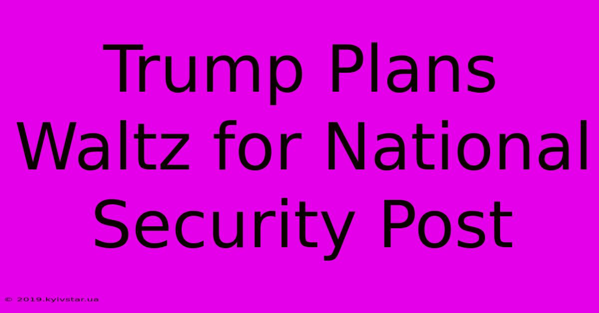 Trump Plans Waltz For National Security Post