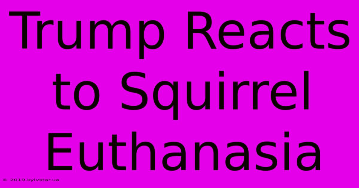 Trump Reacts To Squirrel Euthanasia