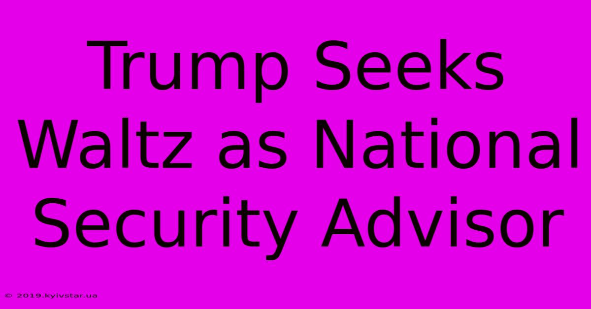 Trump Seeks Waltz As National Security Advisor