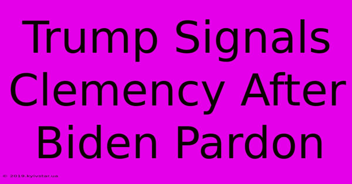 Trump Signals Clemency After Biden Pardon