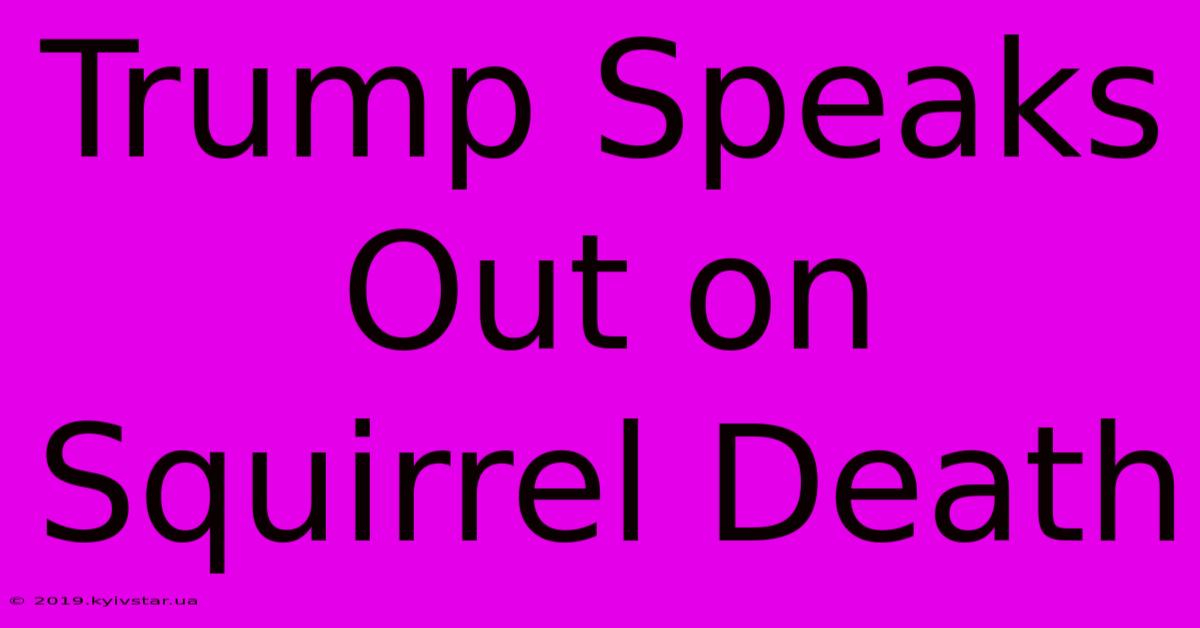 Trump Speaks Out On Squirrel Death