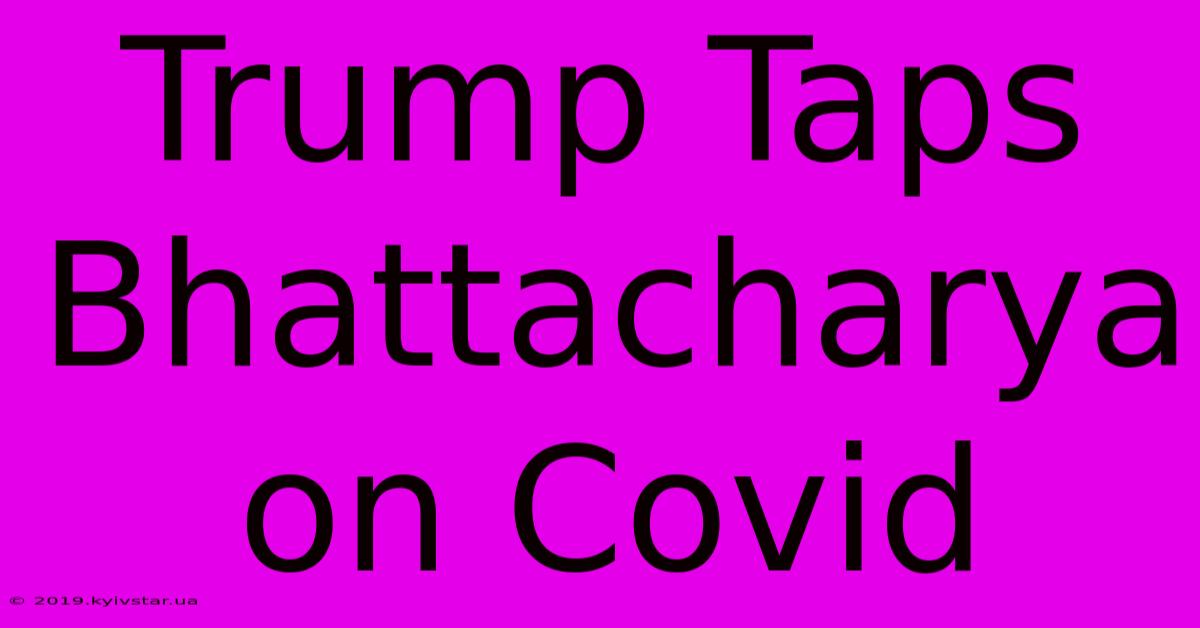 Trump Taps Bhattacharya On Covid