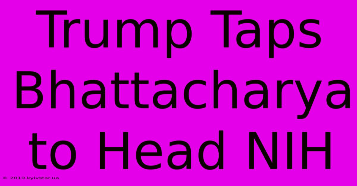 Trump Taps Bhattacharya To Head NIH