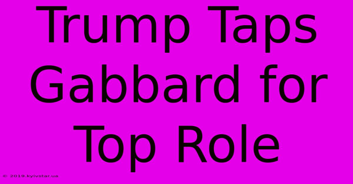 Trump Taps Gabbard For Top Role