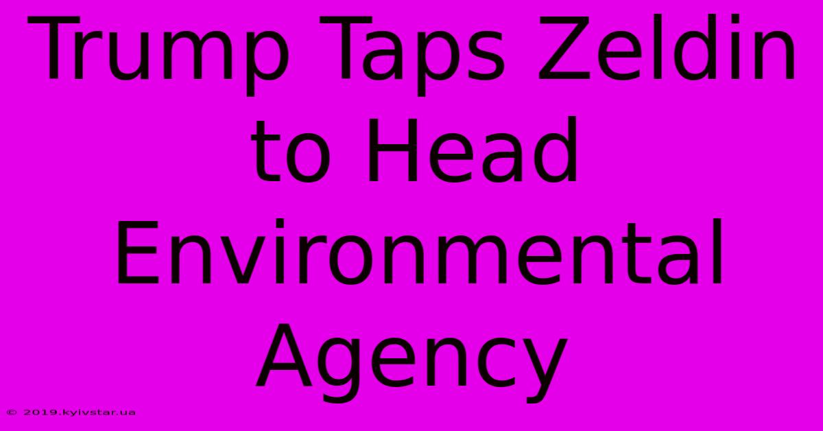 Trump Taps Zeldin To Head Environmental Agency