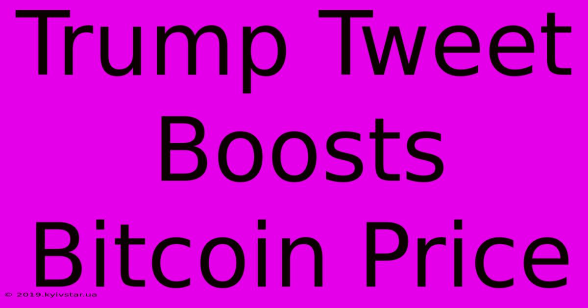 Trump Tweet Boosts Bitcoin Price 