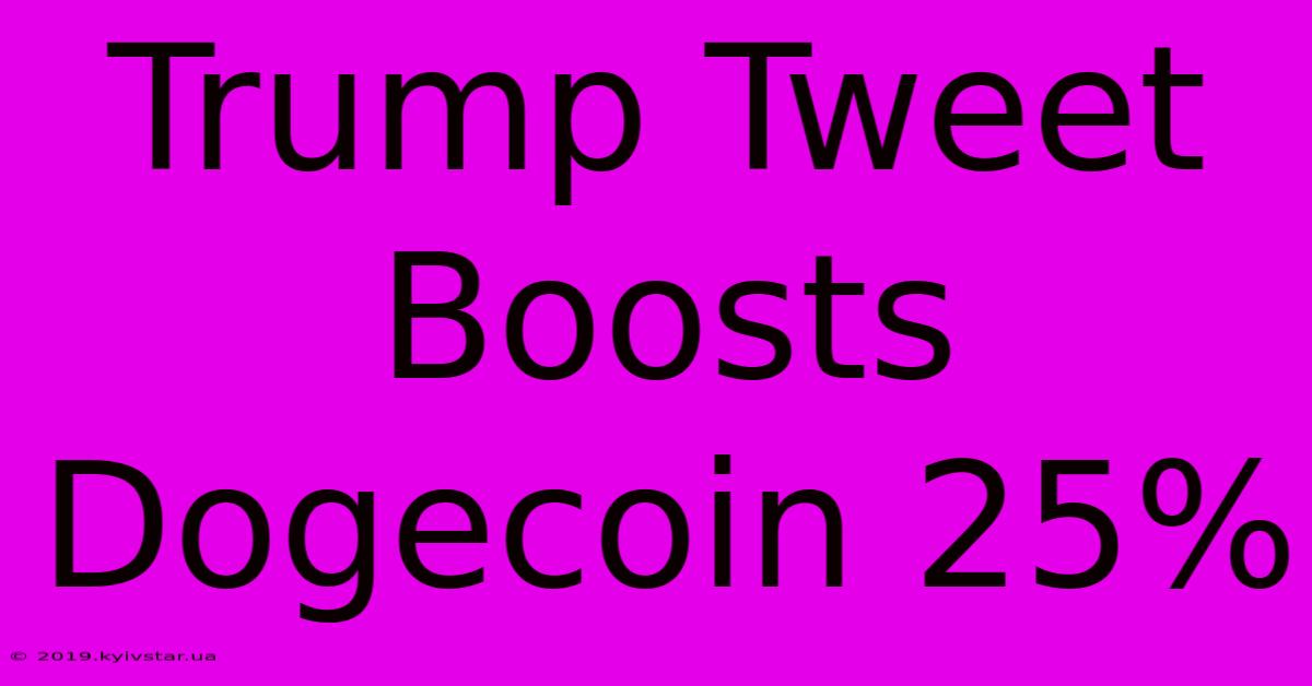 Trump Tweet Boosts Dogecoin 25%