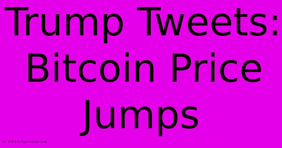 Trump Tweets: Bitcoin Price Jumps