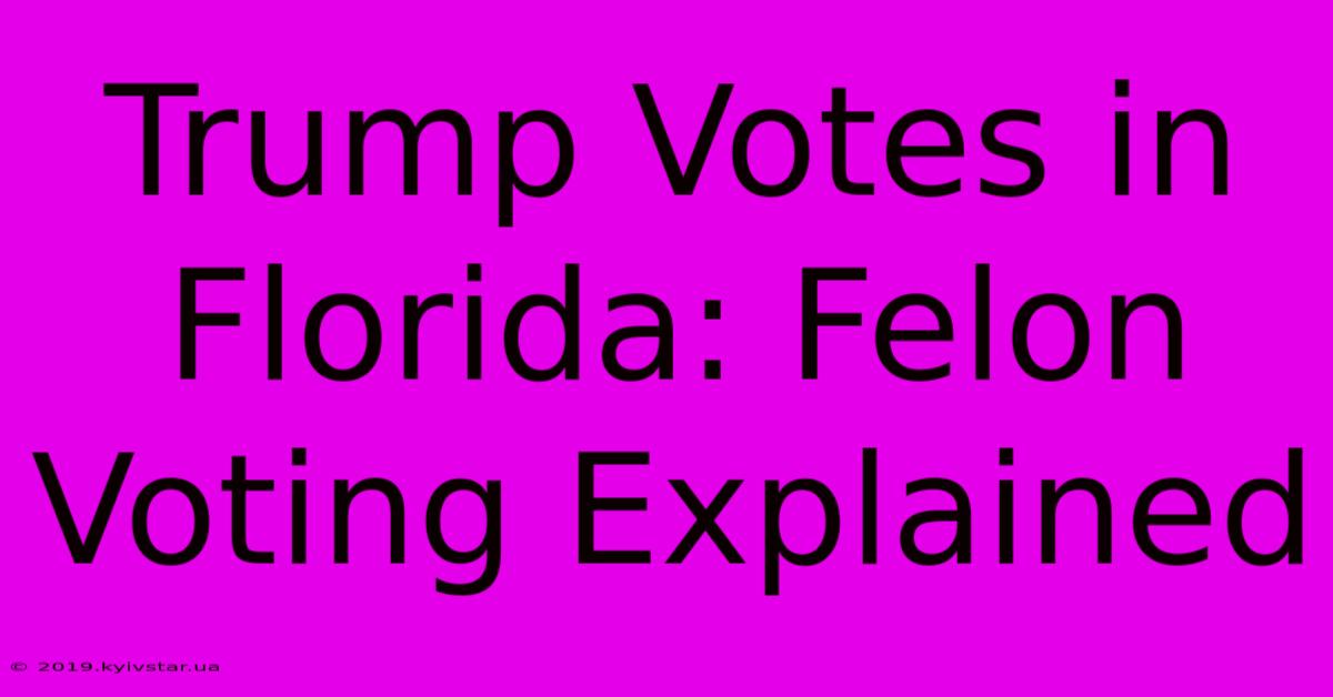 Trump Votes In Florida: Felon Voting Explained