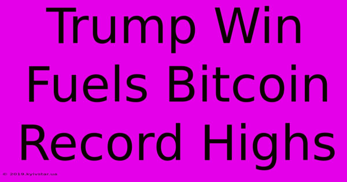 Trump Win Fuels Bitcoin Record Highs