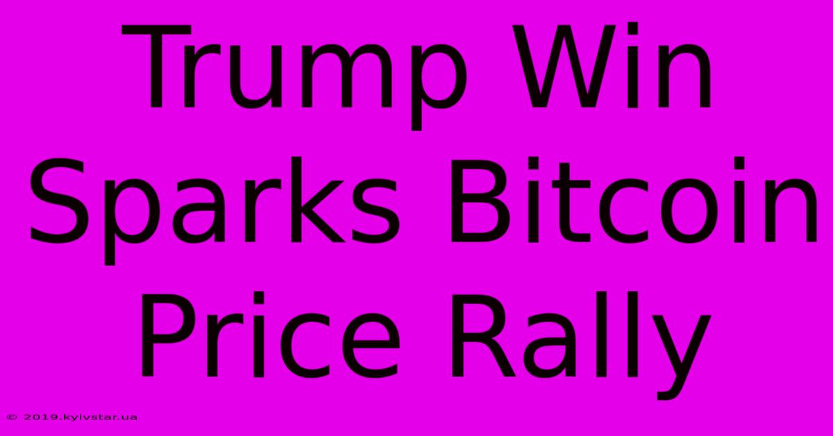 Trump Win Sparks Bitcoin Price Rally 