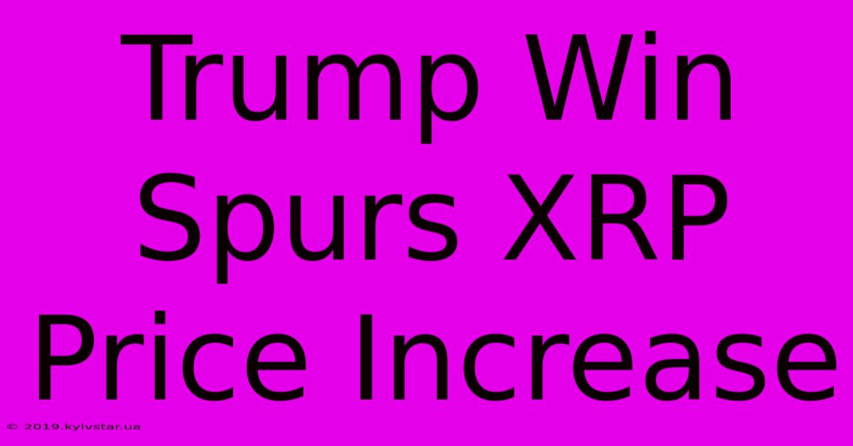 Trump Win Spurs XRP Price Increase