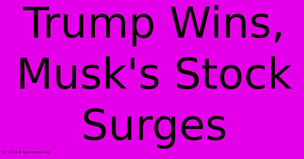 Trump Wins, Musk's Stock Surges