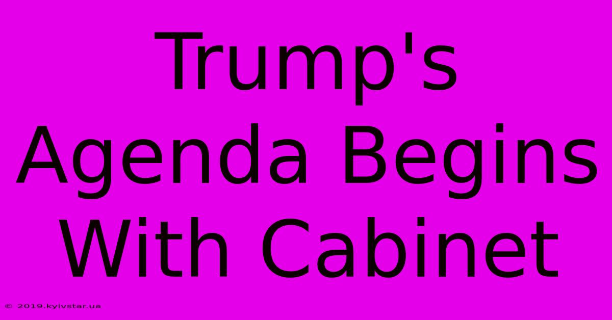 Trump's Agenda Begins With Cabinet