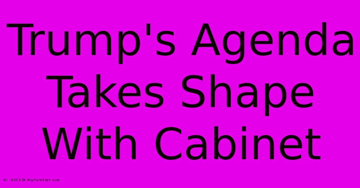 Trump's Agenda Takes Shape With Cabinet 