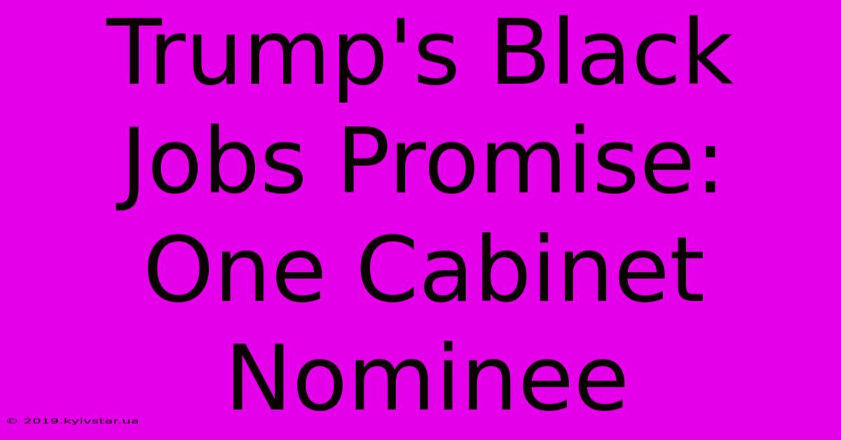 Trump's Black Jobs Promise: One Cabinet Nominee