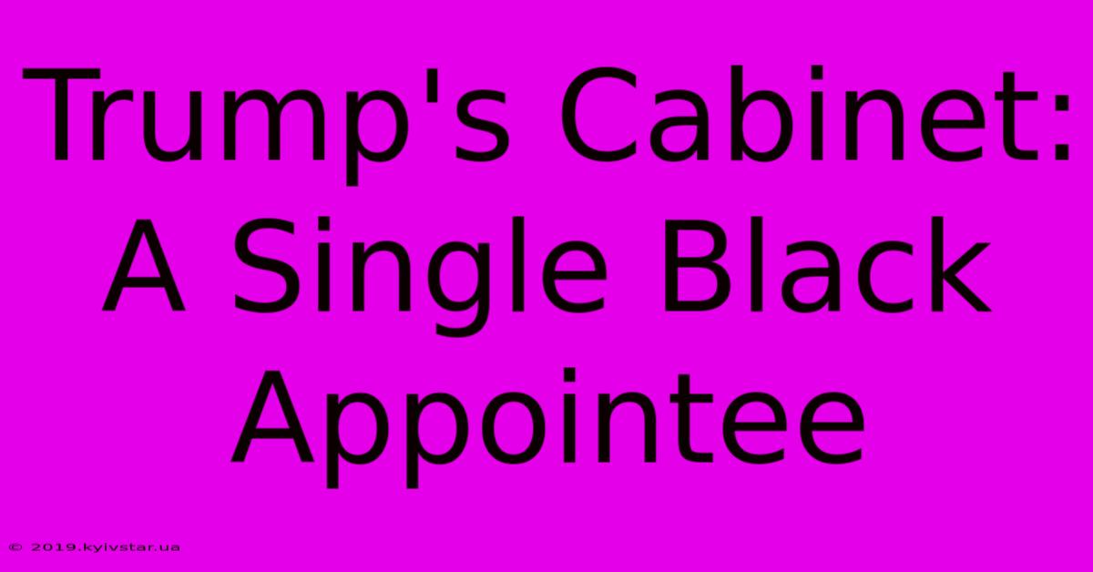 Trump's Cabinet: A Single Black Appointee