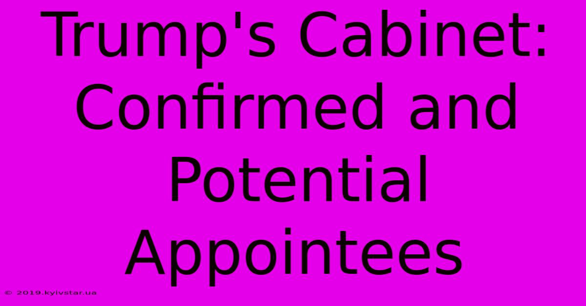 Trump's Cabinet: Confirmed And Potential Appointees