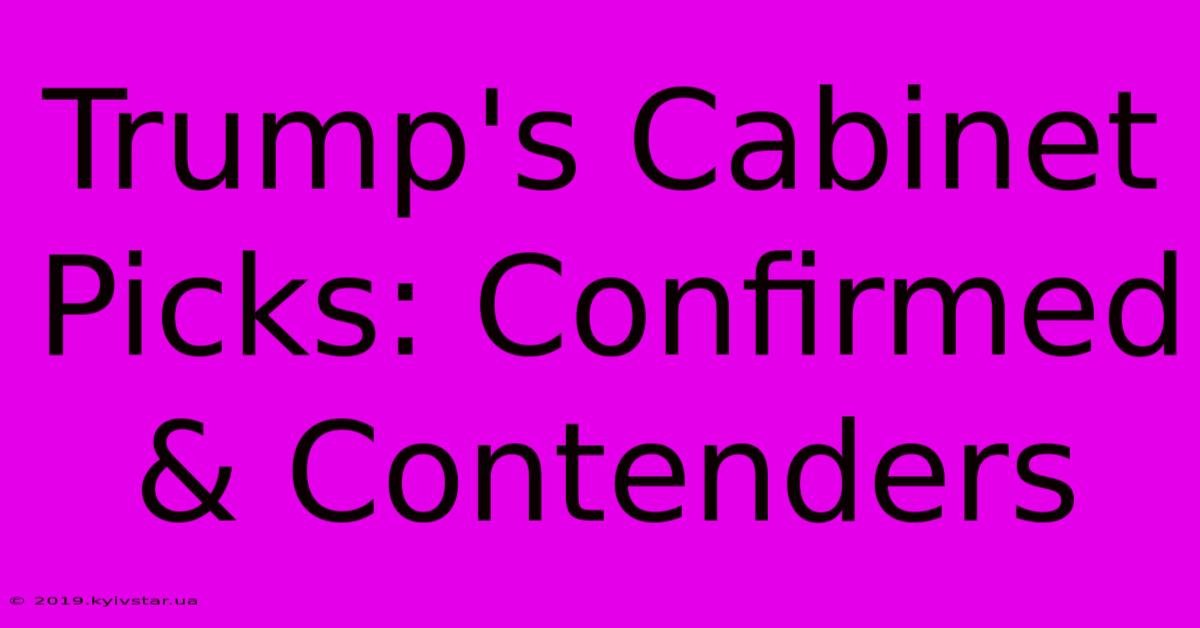 Trump's Cabinet Picks: Confirmed & Contenders