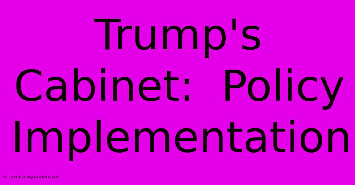 Trump's Cabinet:  Policy Implementation 