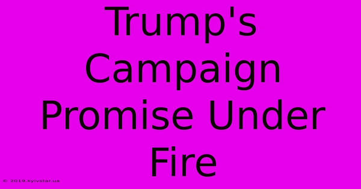 Trump's Campaign Promise Under Fire 