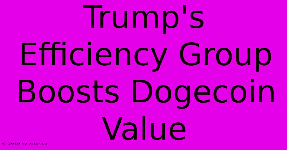 Trump's Efficiency Group Boosts Dogecoin Value