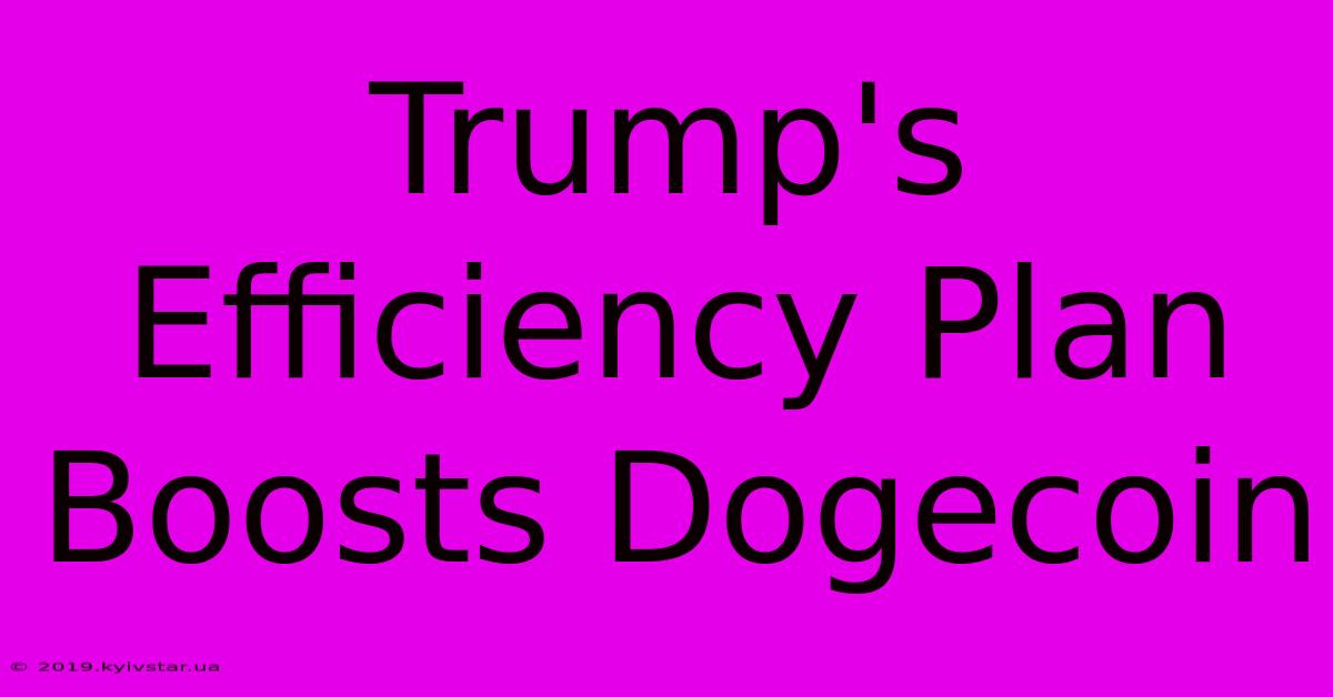 Trump's Efficiency Plan Boosts Dogecoin