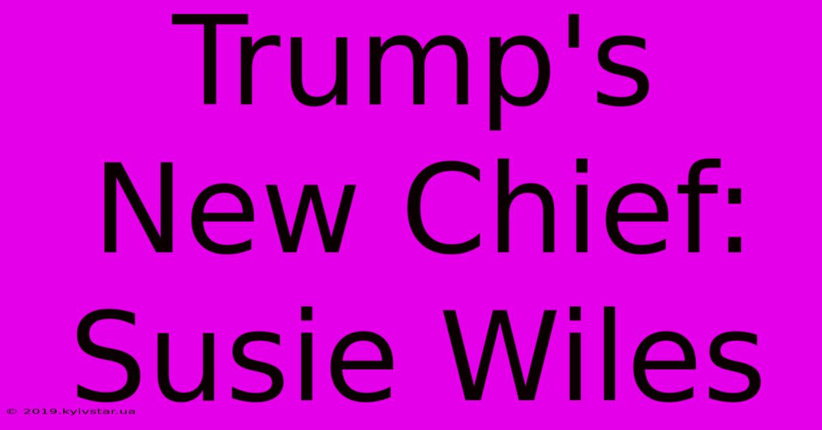 Trump's New Chief: Susie Wiles