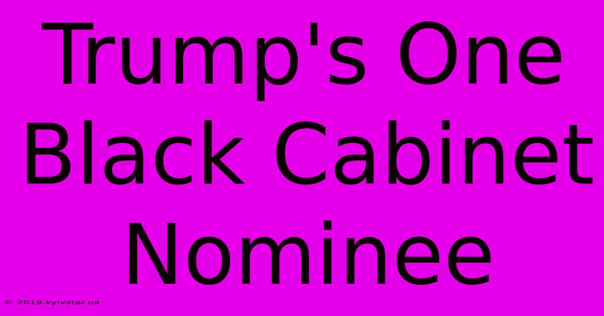 Trump's One Black Cabinet Nominee