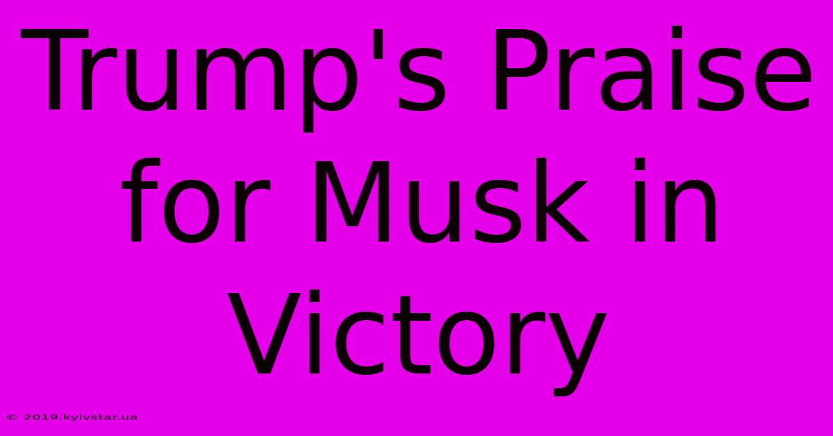 Trump's Praise For Musk In Victory