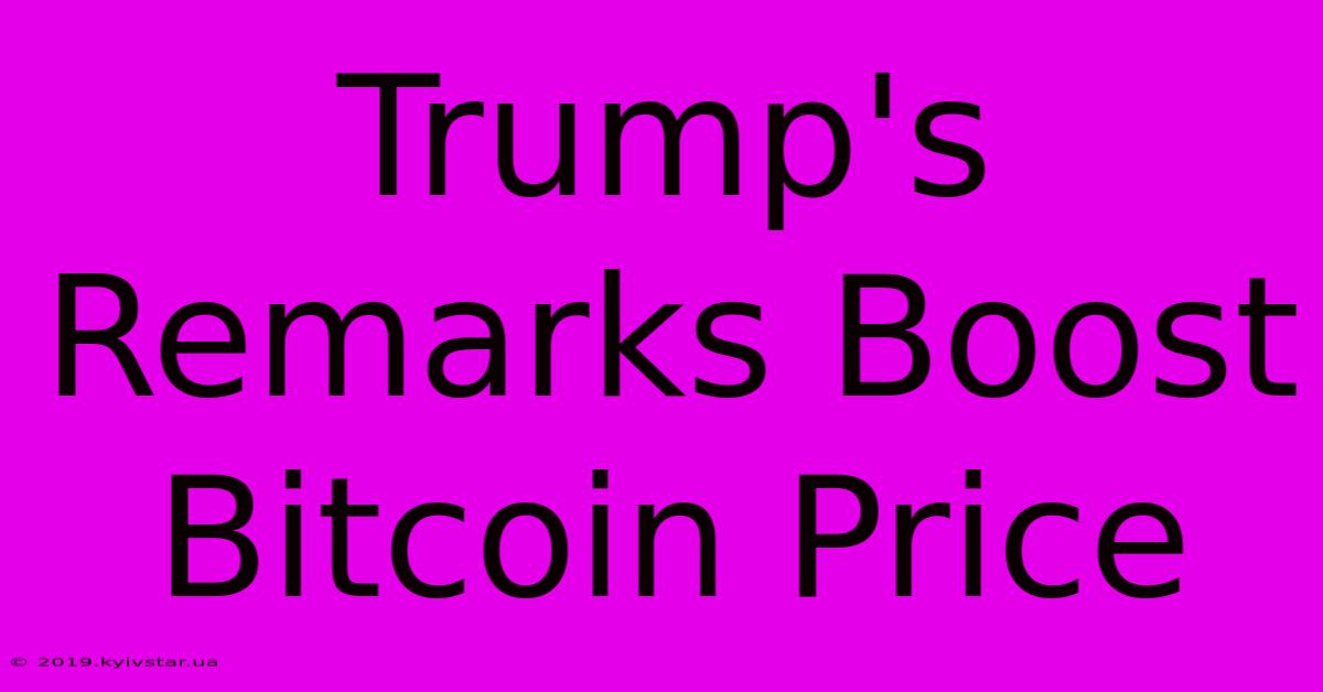 Trump's Remarks Boost Bitcoin Price 