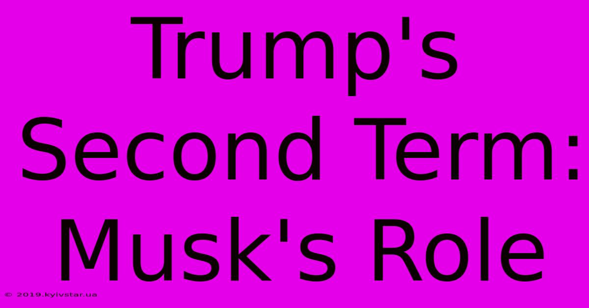 Trump's Second Term: Musk's Role