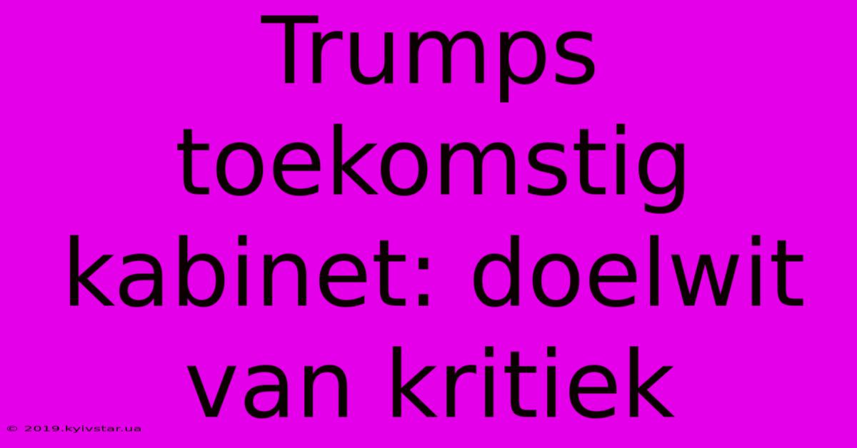 Trumps Toekomstig Kabinet: Doelwit Van Kritiek